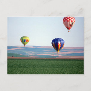Colourful hot air balloons float over wheat postcard