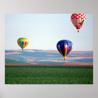 Colourful hot air balloons float over wheat