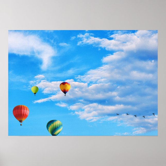 Colourful Hot Air Balloons in the Sky Poster (Front)