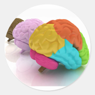 Colourful Human Brains Stickers