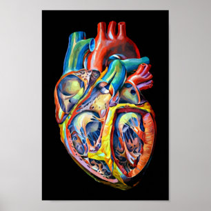 colourful human heart anatomy abstract art poster