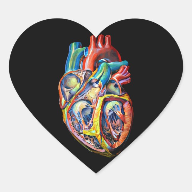 colourful human heart anatomy abstract art sticker (Front)