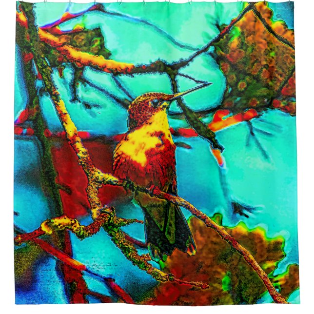 Colourful Hummingbird (Front)