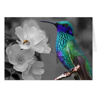 Colourful Hummingbird, Flowers and Bee Card
