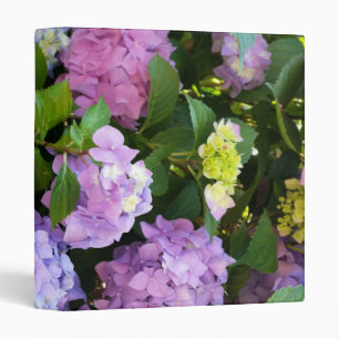 colourful hydrangea binder