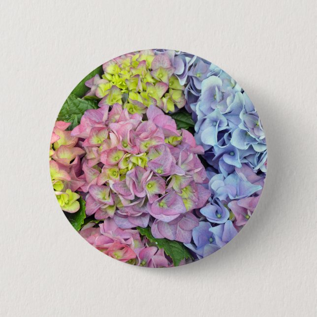 Colourful hydrangea flowers 2 inch round button (Front)