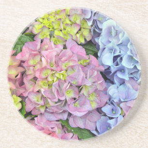 Colourful hydrangea flowers coaster
