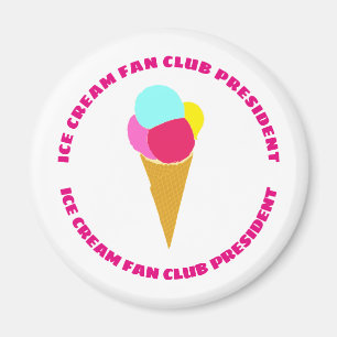 Colourful ice cream magnet