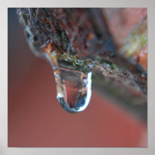 Colourful icicle poster