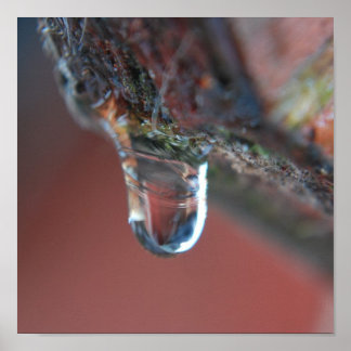 Colourful icicle poster