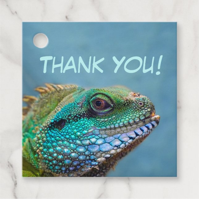 Colourful Iguana Thank You Favour Tags (Front)