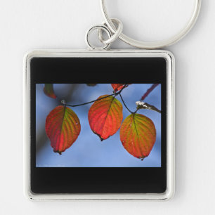 Colourful Illuminated Autumn Leaves Trio Keychain