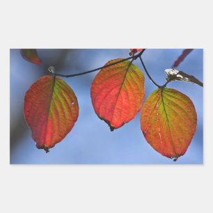 Colourful Illuminated Autumn Leaves Trio Sticker