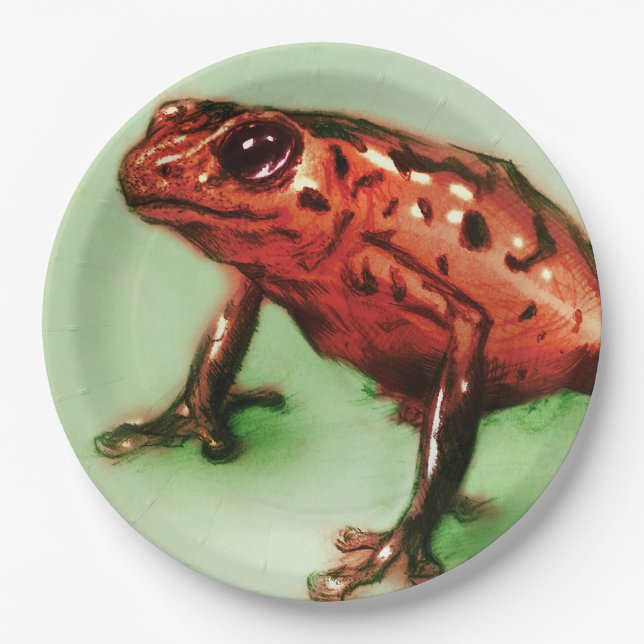 Colourful illustrated paper plate - Frog (Front)