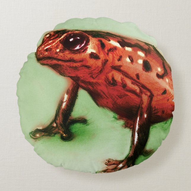 Colourful illustrated round pillow - Frog (Front)