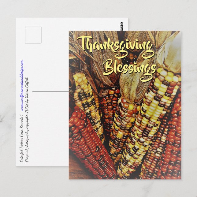 Colourful Indian Corn Kernels Photo 2 Thanksgiving Postcard (Front/Back)