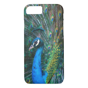 Colourful Indian peacock tail feathers open Case-Mate iPhone Case