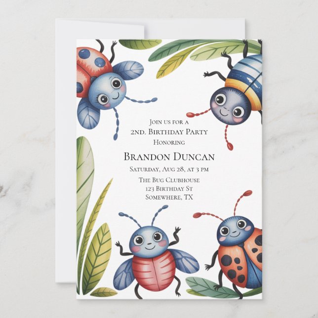 Colourful Insect Bugs 2nd. Birthday Party  Invitation (Front)