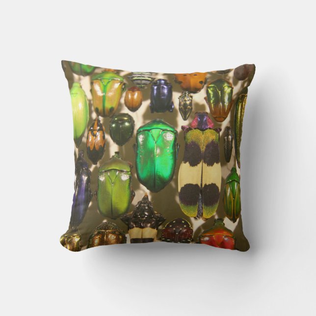 Colourful Insects Beetles and Bugs Throw Pillow (Front)