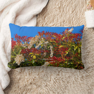 Colourful Japanese Andromeda Bonfire Shrub Lumbar Pillow
