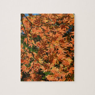 Colourful japanese maple leaves jigsaw puzzle