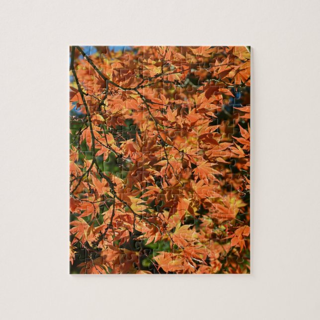 Colourful japanese maple leaves jigsaw puzzle (Vertical)