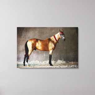 Colourful Jumping Horse Canvas Print