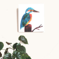 Colourful Kingfisher Bird Art