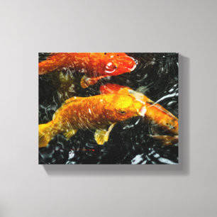 Colourful Koi Fish Chengdu Canvas Print