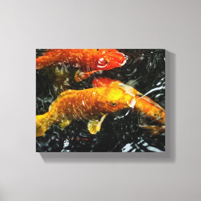 Colourful Koi Fish | Chengdu Canvas Print (Front)