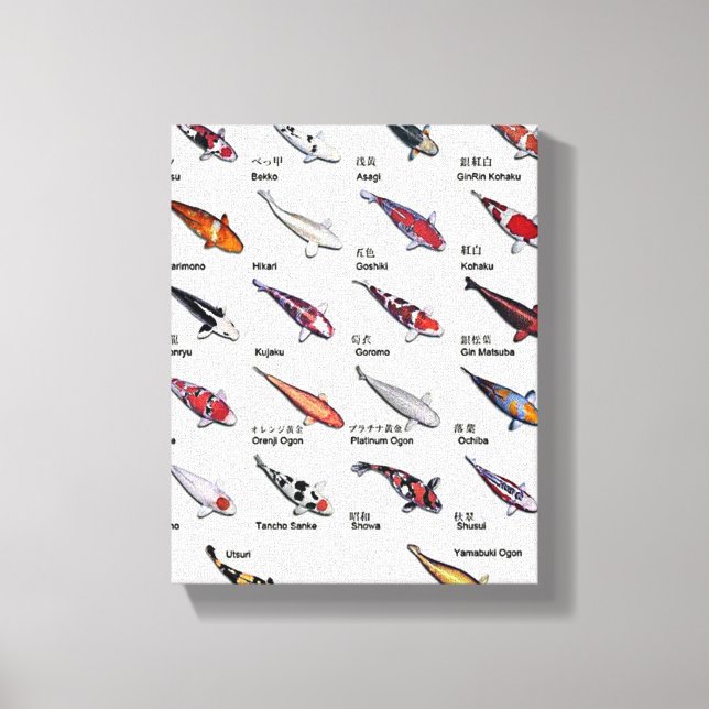 Colourful Koi Fish Varieties Nishikigoi Asian Art Canvas Print (Front)