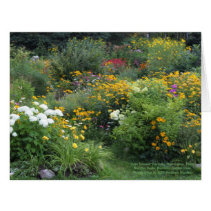 Colourful Late Summer Garden