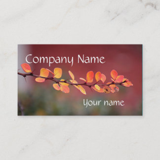 Colourful leaves business card