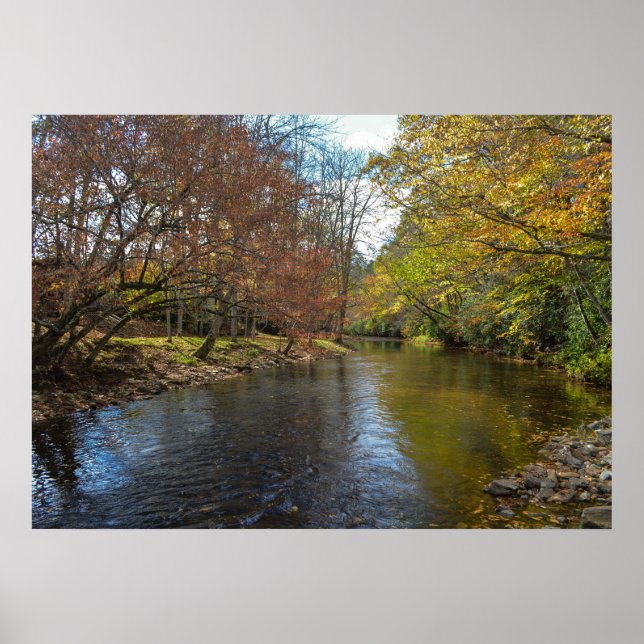 Colourful Leaves Fall Reflections on Autumn Stream Poster (Front)