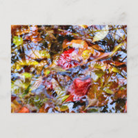 Colourful Leaves Shapes Tree Reflections in Water