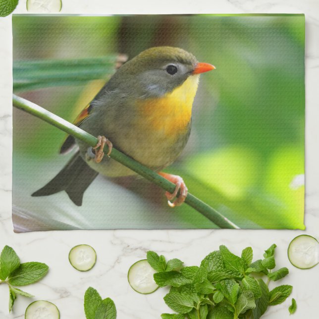 Colourful Leiothrix / Pekin Robin Songbird Kitchen Towel (Folded)