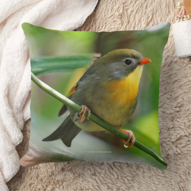 Colourful Leiothrix Pekin Robin Songbird Throw Pillow (Blanket)