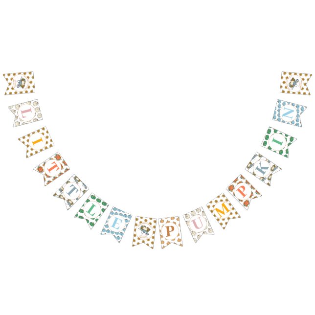 Colourful Little Pumpkin Baby Shower Bunting Flags (All)