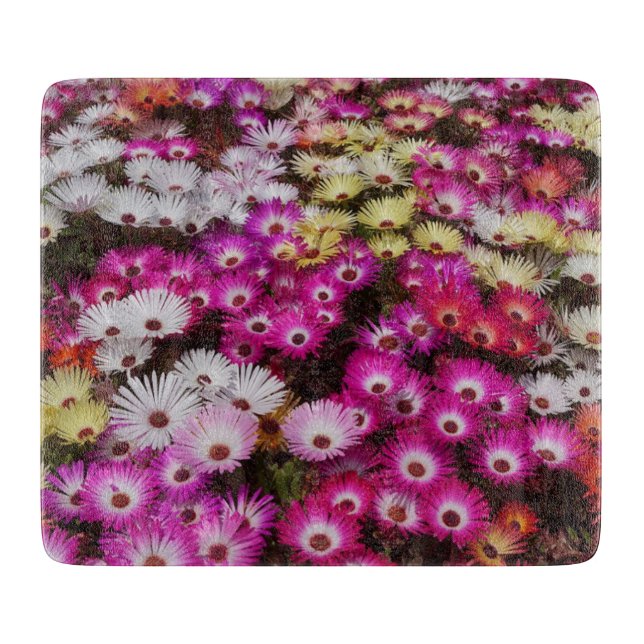 Colourful Livingstone Daisies Flowers Cutting Board (Front)