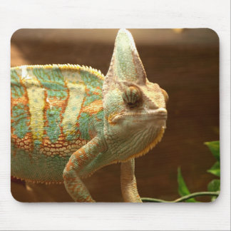 colourful lizzard mouse pad
