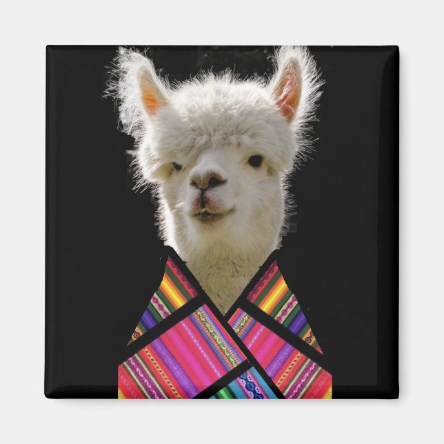 Colourful Llama Magnet (Front)