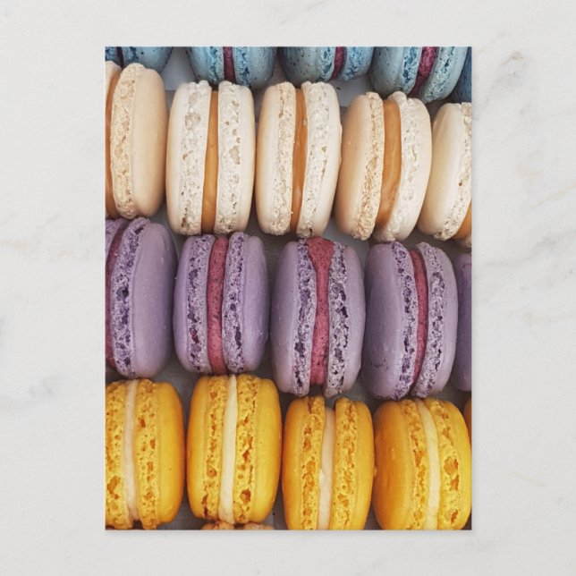 Colourful Macaron Photo Postcard (Front)