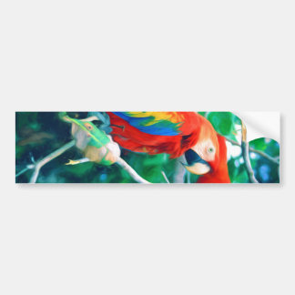 Colourful Macaw Bumper Sticker