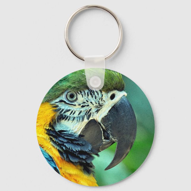 Colourful macaw parrot keychain (Front)