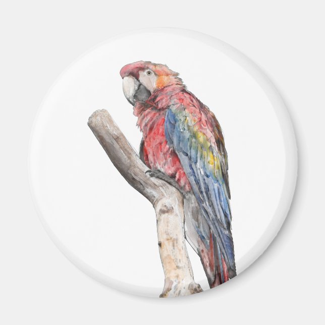 Colourful Macaw Parrot Watercolor Magnet (Front)