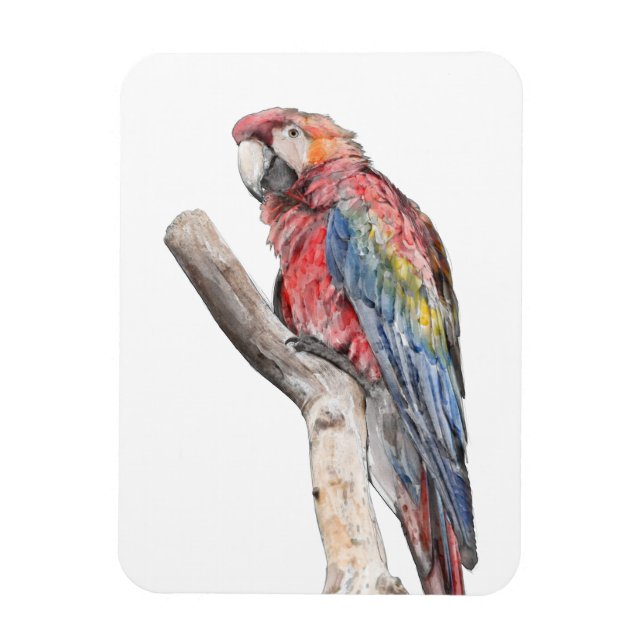 Colourful Macaw Parrot Watercolor Magnet (Vertical)