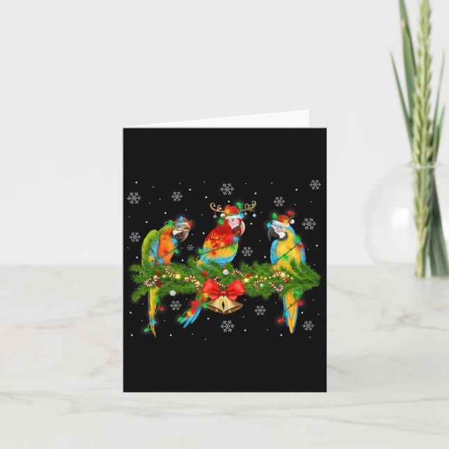 Colourful Macaw Parrots Christmas Lights Tropical  Card (Front)
