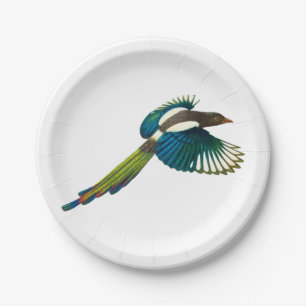 Colourful Magpie Bird, Vintage Illustration Paper Plate