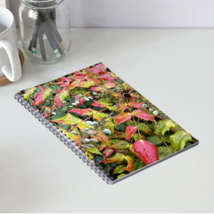 Colourful Mahonia Leaves with Berries Floral Notebook