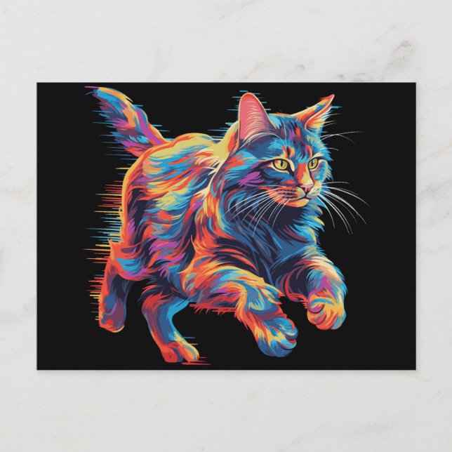 Colourful Maine Coon Postcard (Front)